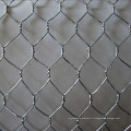 Maille hexagonale de couleur enduite de PVC/grillage de volaille en acier galvanisé/maille hexagonale galvanisée